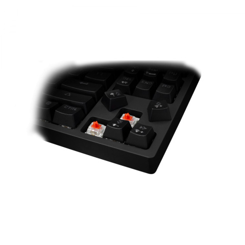 ESHARK KLAWIATURA GAMINGOWA PODŚWIETLANA LED RGB ESHARK KLAWIATURA GAMINGOWA PODŚWIETLANA LED RGB
