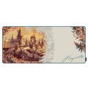 PODKŁADKA POD MYSZ LEXIP HARRY POTTER