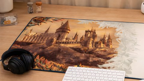 PODKŁADKA POD MYSZ LEXIP HARRY POTTER