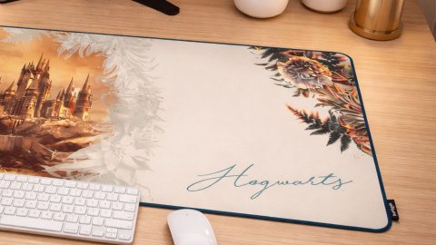PODKŁADKA POD MYSZ LEXIP HARRY POTTER
