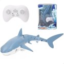 Rekin zdalnie sterowany do basenu wody RC 2.4 GHz Spray Shark LED